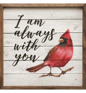 I Am Always With You Cardinal Whitewash